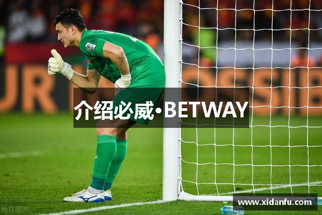 介绍必威·BETWAY
